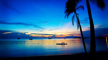 Beach at night, Boat, Ocean, Clouds, Palm tr5, Sky HD wallpaper