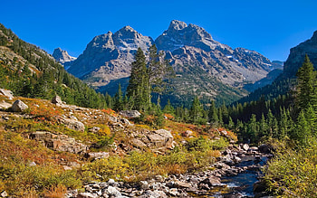 Fall is starting just above the treeline in Grand Teton National Park, creek, trees, sky, mountains, rocks, stones, wyoming, usa HD wallpaper