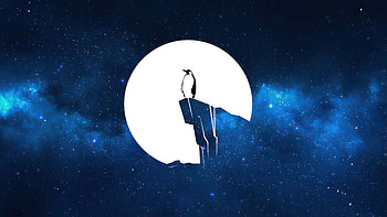 Penguin Linux , linux, penguin, computer, artist, artwork, digital-art HD wallpaper