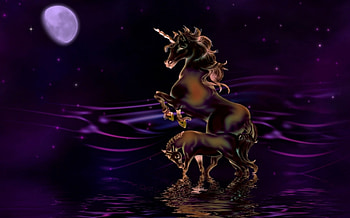 purpul water, horn, night HD wallpaper