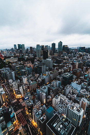 Cities, Architecture, City, Building, View From Above, Megapolis, Megalopolis, Japan, Tokyo HD phone wallpaper