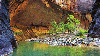 Zion National Park, Beautiful , Zoey Simpson's post, Nature's sanctuary HD wallpaper