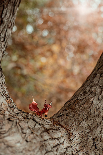 Fox, Miscellanea, Miscellaneous, Wood, Tree, Toy, Handmade, Craft HD phone wallpaper