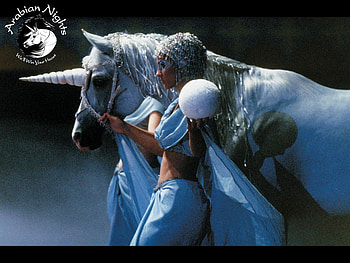 Arabian Nights, horses, girl, arabian horse, animals HD wallpaper