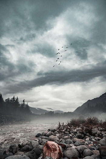 Nature, Rivers, Trees, Stones, Forest, Fog HD phone wallpaper