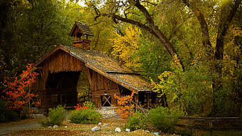 Mountain House, Dual, Fog, Forest, Tree HD wallpaper