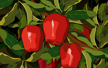 Plants, Flowers, Background HD wallpaper