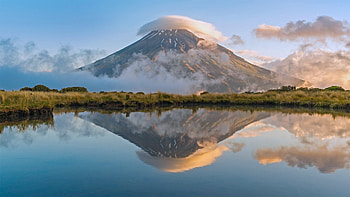 mount taranaki, reflection, snow, trees, shrubs, nz, lake HD wallpaper