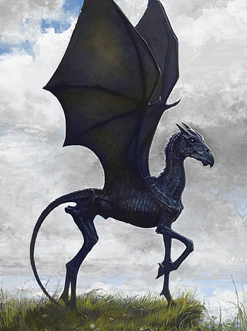 Thestral, harry potter HD phone wallpaper