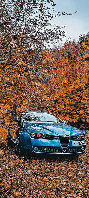 Alfa Romeo, automotive lighting, sky HD phone wallpaper
