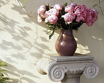 Still Life, vase, beautiful, flowers HD wallpaper