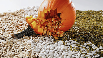 Cooking with pumpkin seeds, Culinary versatility, October heroes, Nutritious HD wallpaper