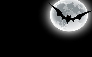 Bat , Top quality, Stunning visuals, Captivating designs HD wallpaper