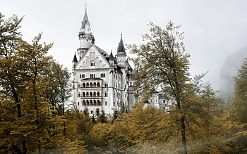 beautiful white castle in fog, fog, white, castle, forest, towers HD wallpaper