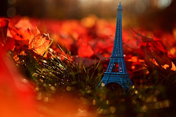 Eiffel Tower, bokeh, leaves, autumn splendor, fall, autumn, nature HD wallpaper