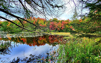 Fall colors creeping into the foothills of the Adirondacks in New York, clouds, landscape, trees, sky, water, forest, lake, reflections, usa HD wallpaper