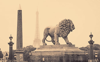 Cities, Paris, City, Lion, France, Bw, Chb, Statue, Street HD wallpaper