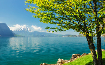 Landscape, Trees, Lakes HD wallpaper