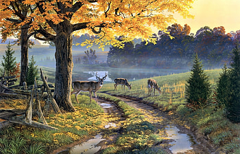 Animals, Deers HD wallpaper