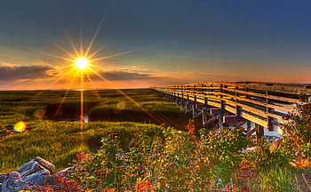 earths beautiful light, graphy, sky, nature, flowers, sun, beauty HD wallpaper