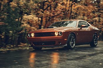 Dodge Challenger , dodge-challenger, dodge, cars HD wallpaper