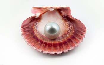 Objects, Pearls HD wallpaper