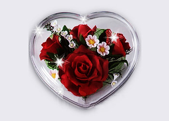 Heart, nature, flowers, roses HD wallpaper