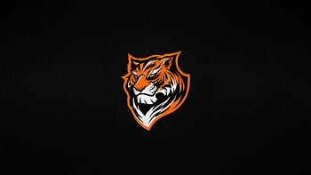 Tiger Minimal , tiger, minimalism, minimalist, illustration, artist, artwork, digital-art HD wallpaper