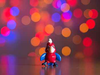 Parrots, Glare, Miscellanea, Miscellaneous, Toy HD wallpaper