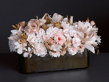 Blooms for beautiful people, white, container, pinks, flowers, arrangement, beauty HD wallpaper