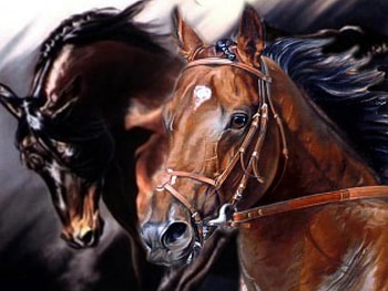 Horses in paint, animal, horse, black, brown, art, paint HD wallpaper