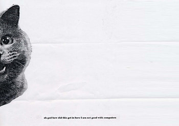 oh god how did this get in here I am not good with computers, animal, fun, text, , cat HD wallpaper