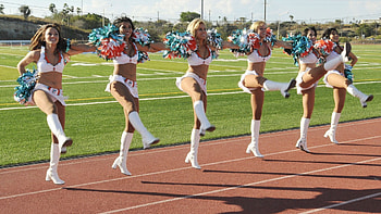 MIAMI DOLPHINS nfl football cheerleader g HD wallpaper