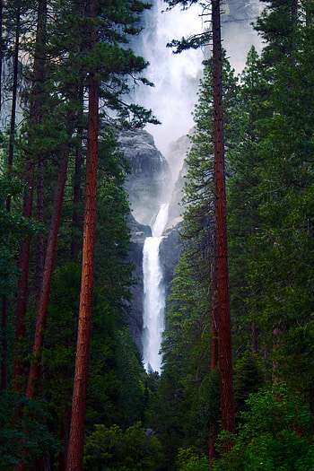 Nature, Trees, Rocks, Waterfall, Forest HD phone wallpaper