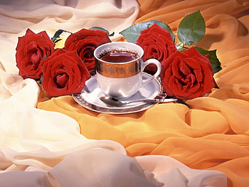 hot roses , hot roses, 3d HD wallpaper