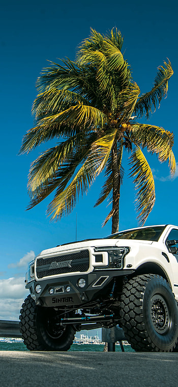 F250, Trucks, Sintor Trucks, F150, F350, Ford, Raptor HD phone wallpaper