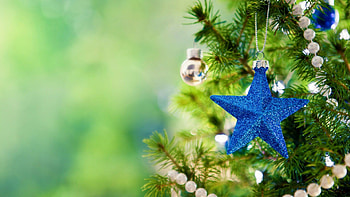 Stunning Christmas tree, , Joyful holiday, Festive atmosphere HD wallpaper