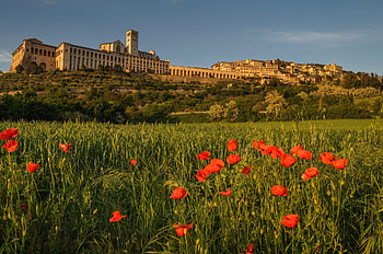 Assisi , Backgrounds HD wallpaper