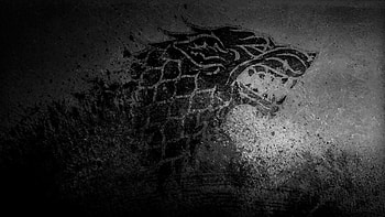 Coat of Arms, House Stark HD wallpaper