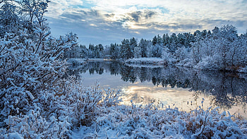 Lake Inari, Finnish Lapland, winter, snow, clouds, trees, sky, forest, water, reflections, landscape HD wallpaper
