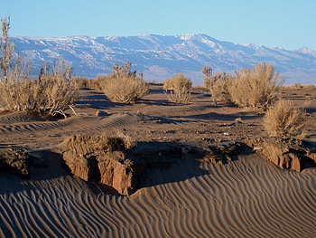 Gobi Desert, Untouched wilderness, Nature's wonders, Ethereal beauty HD wallpaper