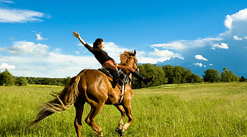Horse-riding, calareti, curse, calarit, cai HD wallpaper