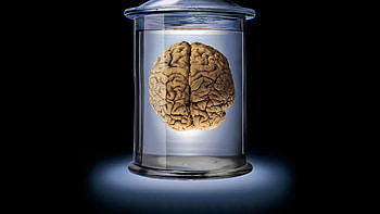 brain, glass, brown, blue, black, bank HD wallpaper