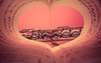 Love for music, Creative concepts, Artistic , Heartwarming flute HD wallpaper