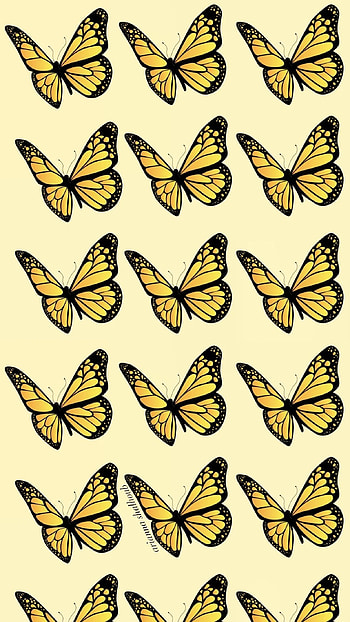 Yellow Butterfly, Beautiful HD phone wallpaper