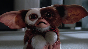 Epic showdown, Stripe vs Gizmo, Intense battle, Legendary rivalry HD wallpaper