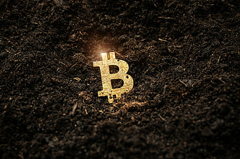 Crypto stock plunge, Motley Fool, Bitcoin prices, Today HD wallpaper