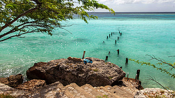 Aruba Island, Happy island escape, Unwind in paradise, Tropical haven HD wallpaper