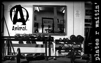 Weight lifting bodybuilding quotes HD wallpaper