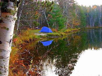 Back at Camp, trees, sky, tent, water HD wallpaper